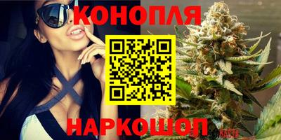 гидра Анжеро-Судженск
